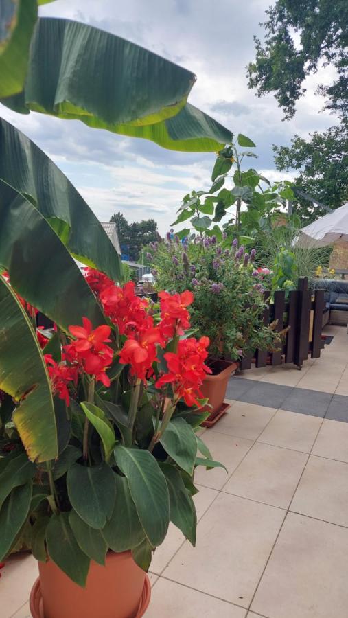 Schoene Aussicht Apartman Nideggen Kültér fotó
